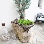Rose Appartement Zadar