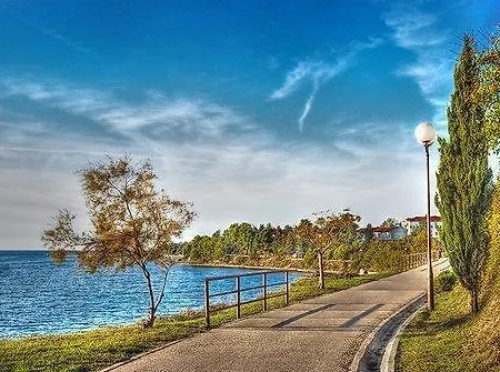 Lägenhet Rose Zadar