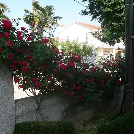 Apartament Rose Zadar