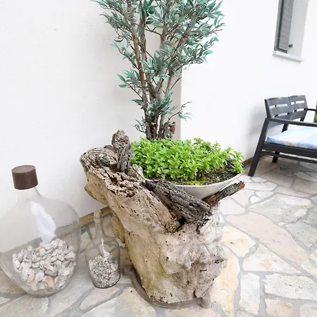 Rose 아파트 자다르