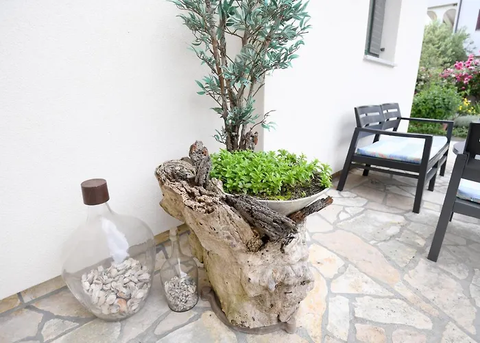 Rose Lägenhet Zadar