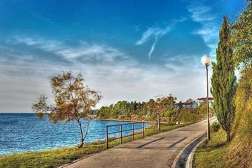 Lägenhet Rose Zadar