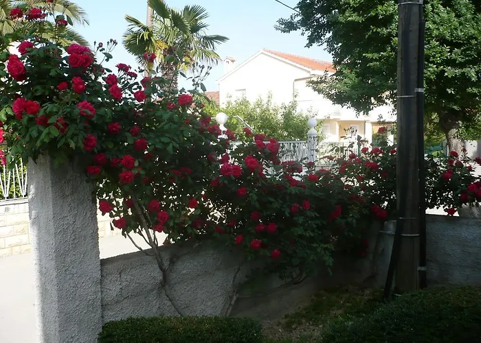 Apartament Rose Zadar